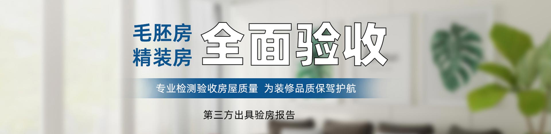 新聞動(dòng)態(tài)